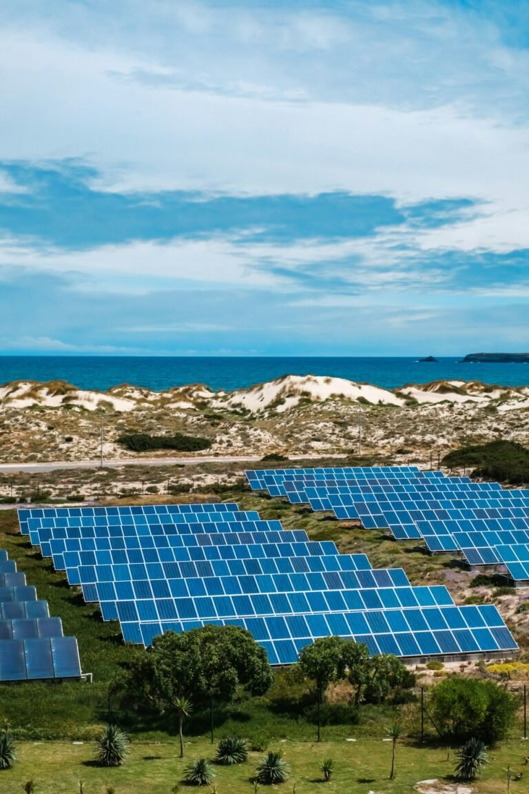 Vertical aerial view of rows of solar panels in the field by the seashore in Peniche, Portugal